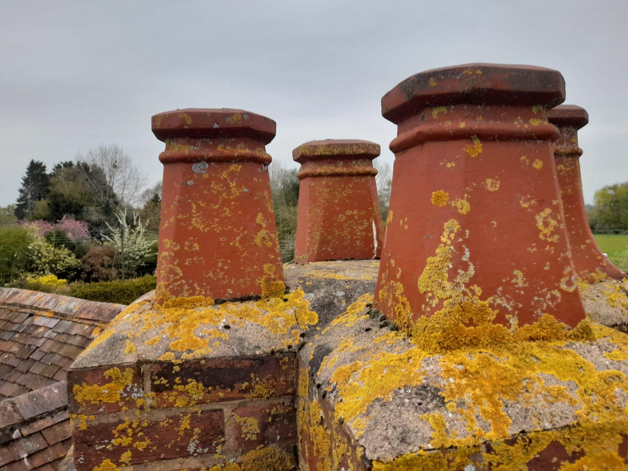 Lichen covered terracotta chimney pots with no cowls
